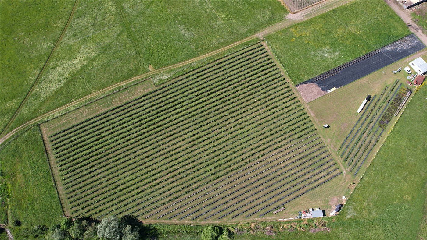 Roseberry Farm