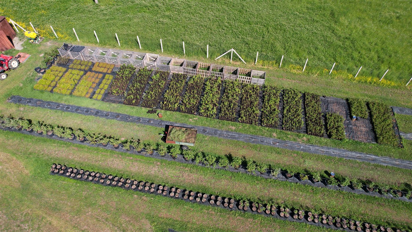 Roseberry Farm