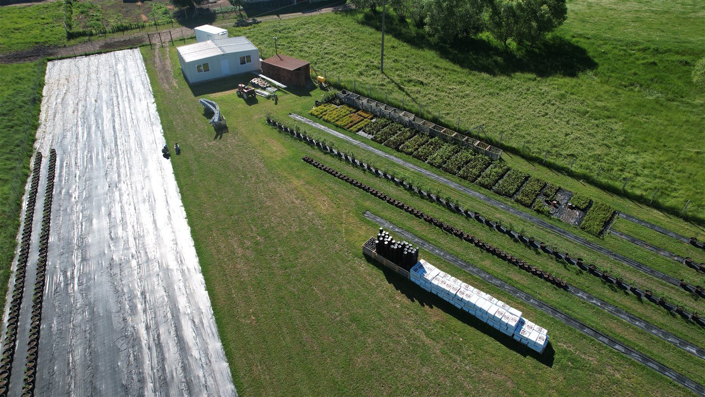 Roseberry Farm