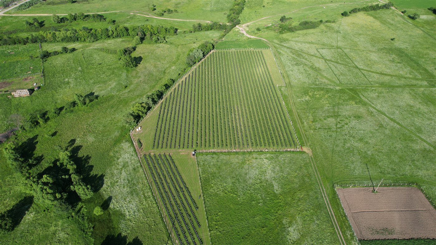 Roseberry Farm